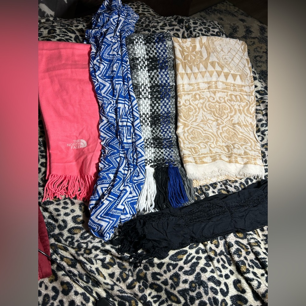 Bundle of 5 Scarves